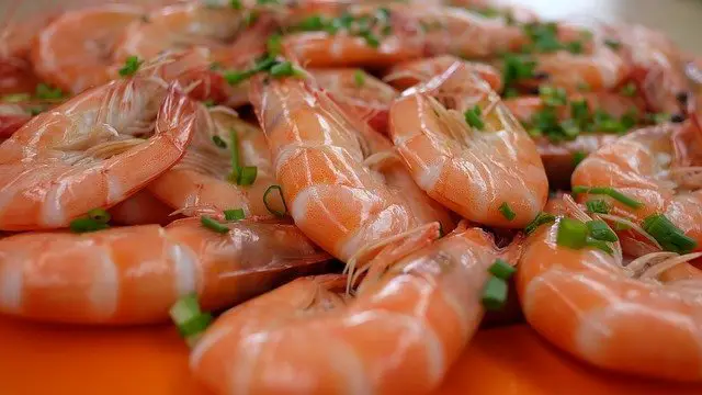  shrimp ਬਾਰੇ ਸੁਪਨਾ