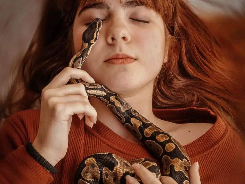  Sognare un serpente