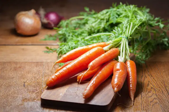  Haaveilla porkkanoista
