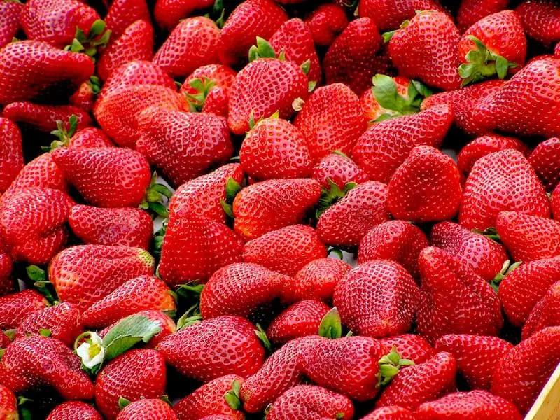  Träumen mit Erdbeeren